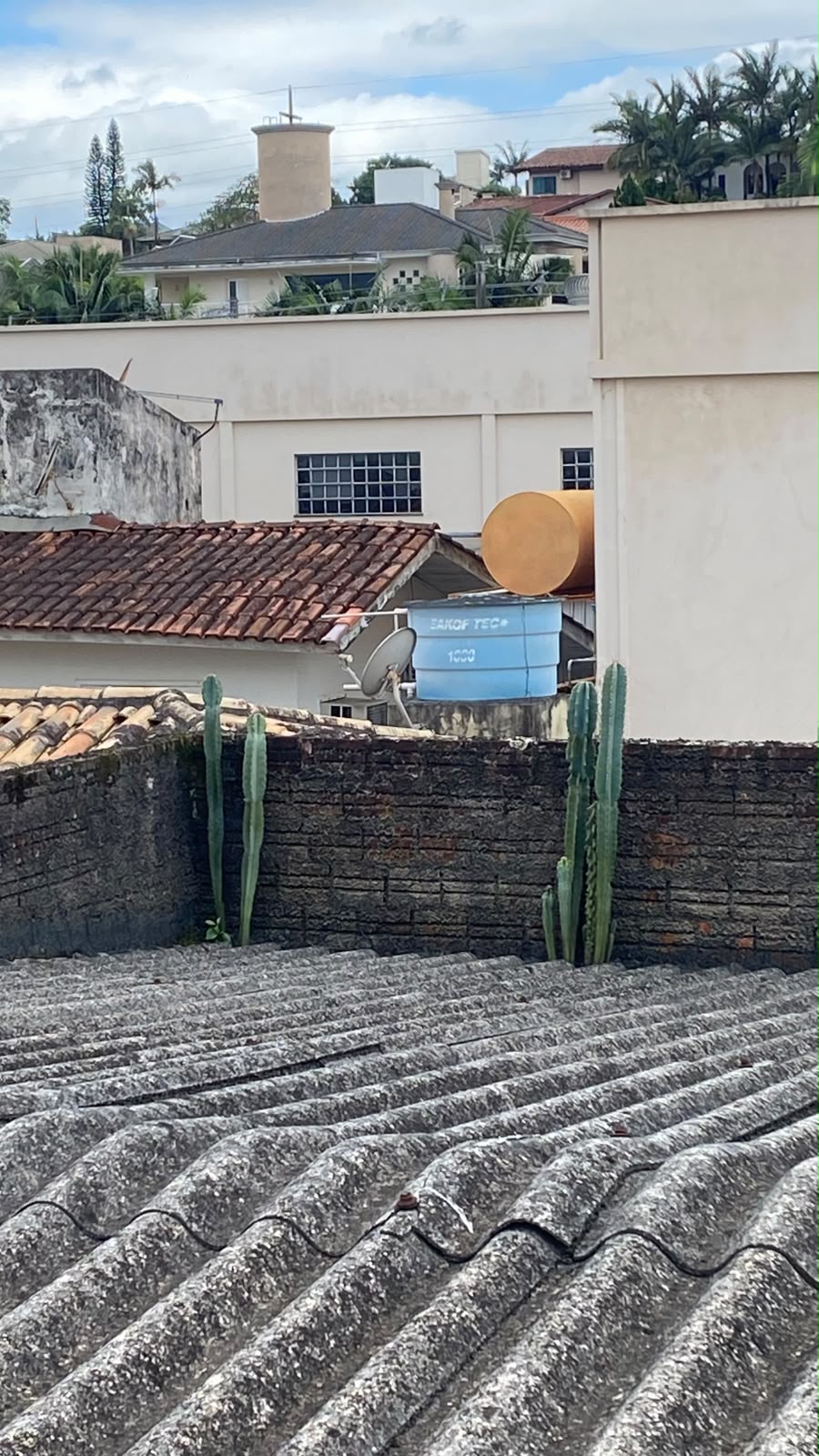 Cobertura existente junto à platibanda de tijolo, com vegetação nascendo na junção